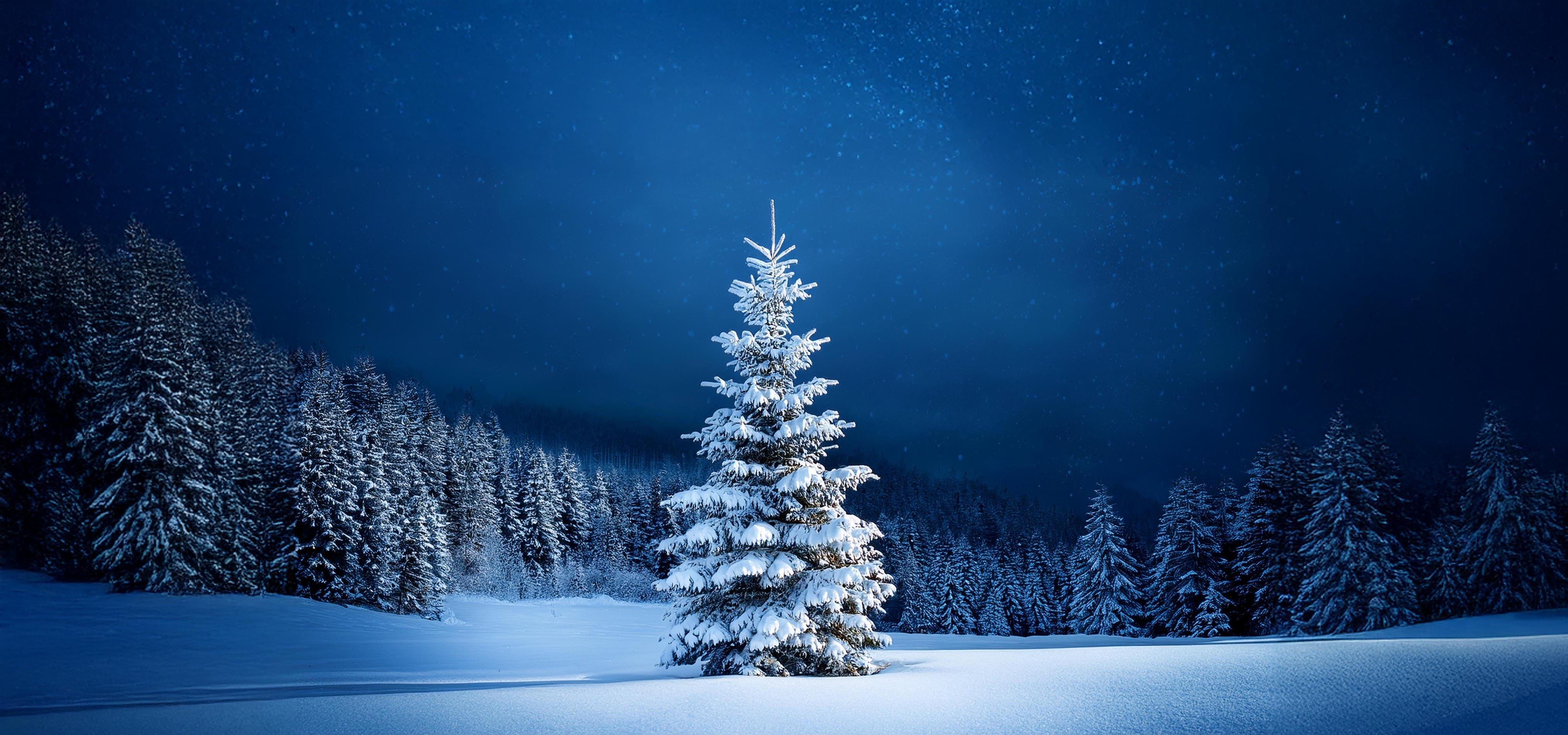 Season’s Greetings